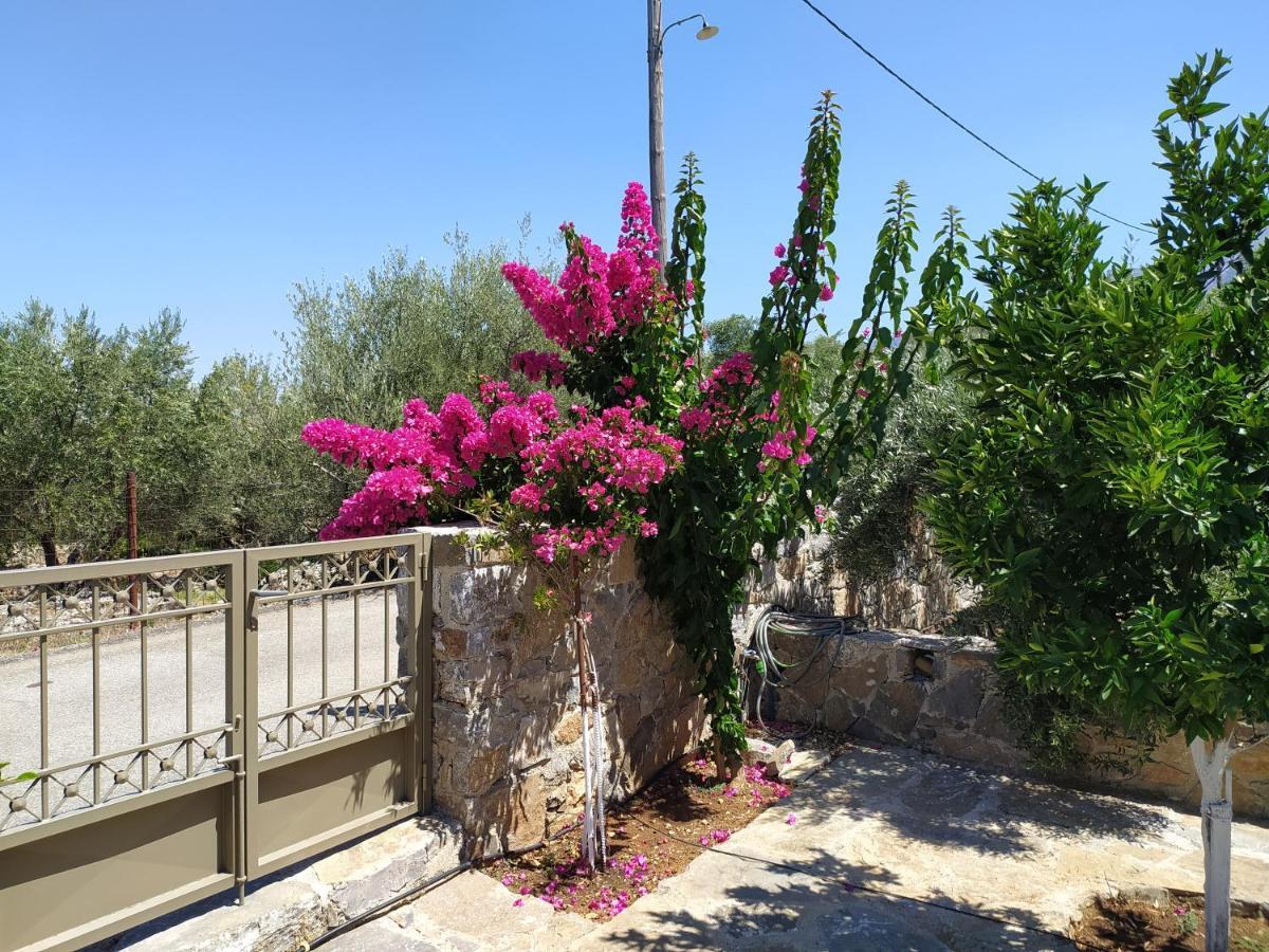 "Villa Kastania" Melidoni, Chania, Crete Exteriör bild