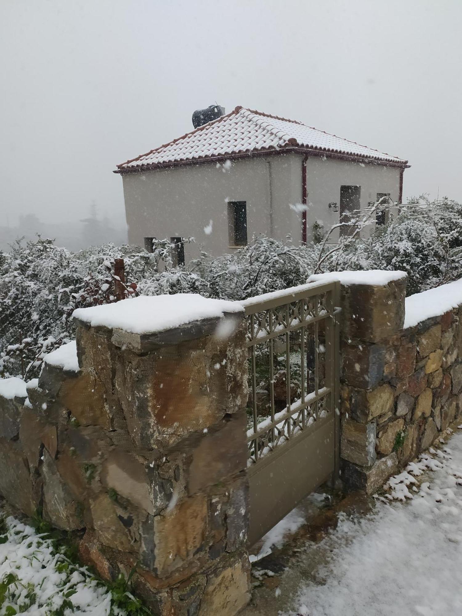 "Villa Kastania" Melidoni, Chania, Crete Exteriör bild