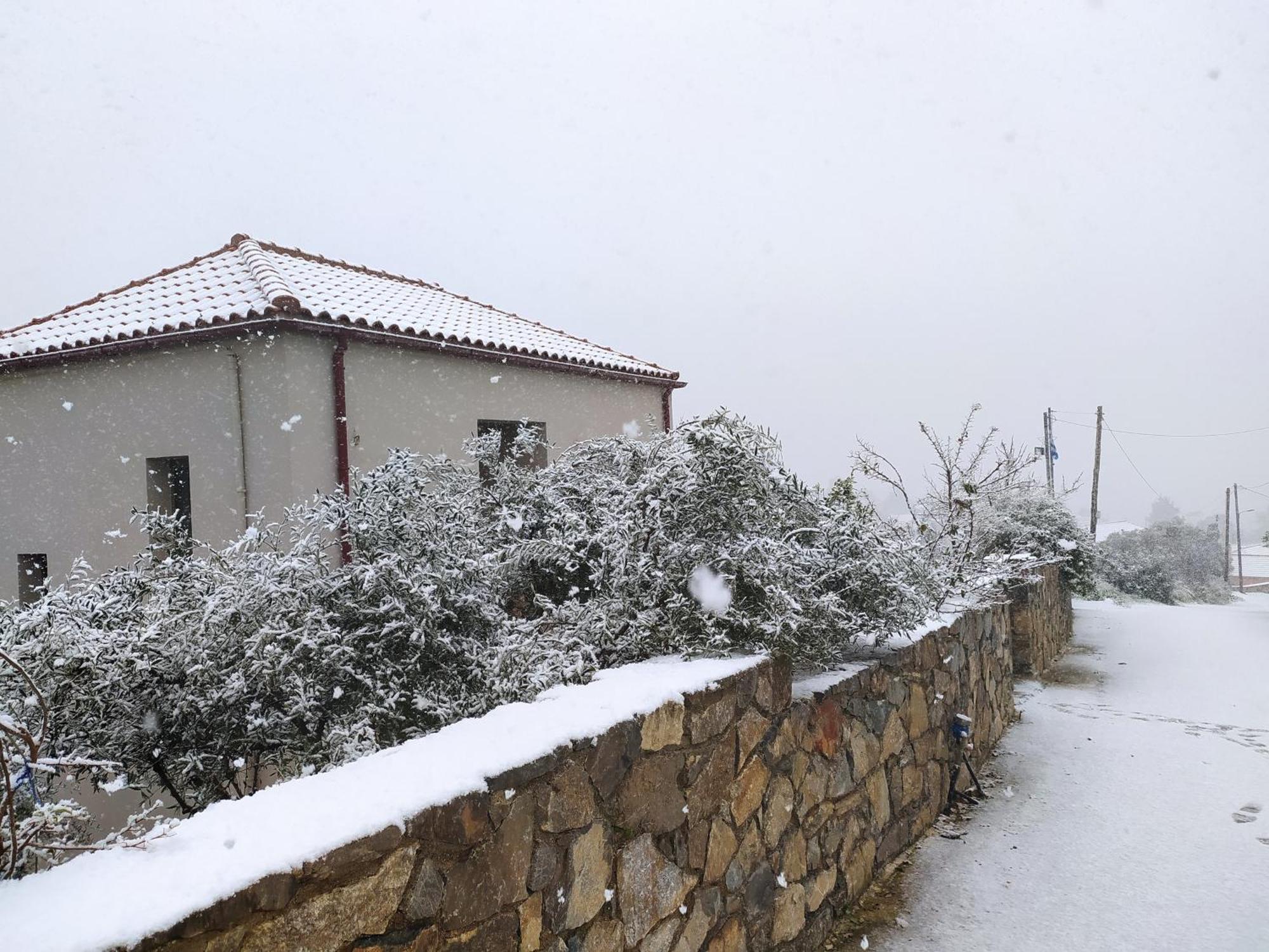 "Villa Kastania" Melidoni, Chania, Crete Exteriör bild